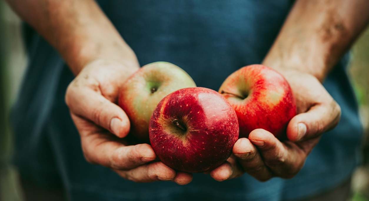 ¿Conoces los beneficios de las manzanas y qué tipos hay? Te lo contamos en este artículo..