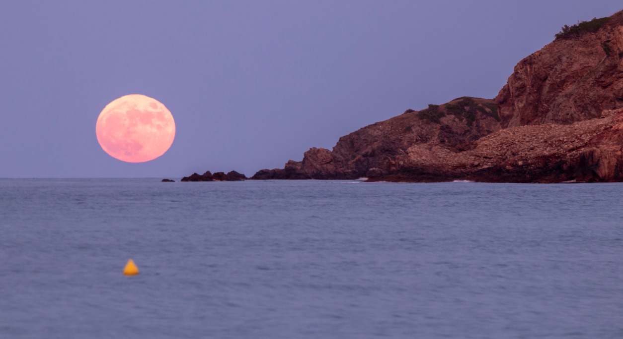 Luna llena rosa. / Foto: iStock
