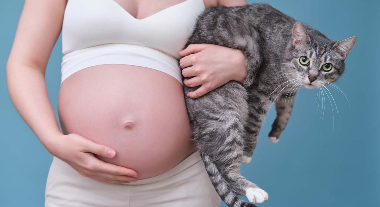Conoce la toxoplasmosis: síntomas, causas y tratamiento de esta enfermedad parasitaria que afecta especialmente a inmunodeprimidos y embarazadas