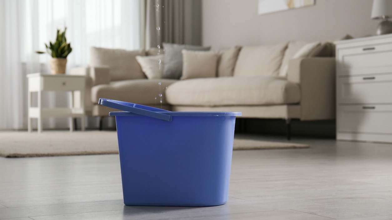 Techo de una vivienda con fugas | iStock