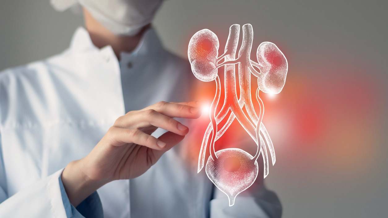 En este post veremos los síntomas del cáncer de vejiga; los síntomas, tratamiento y causas.