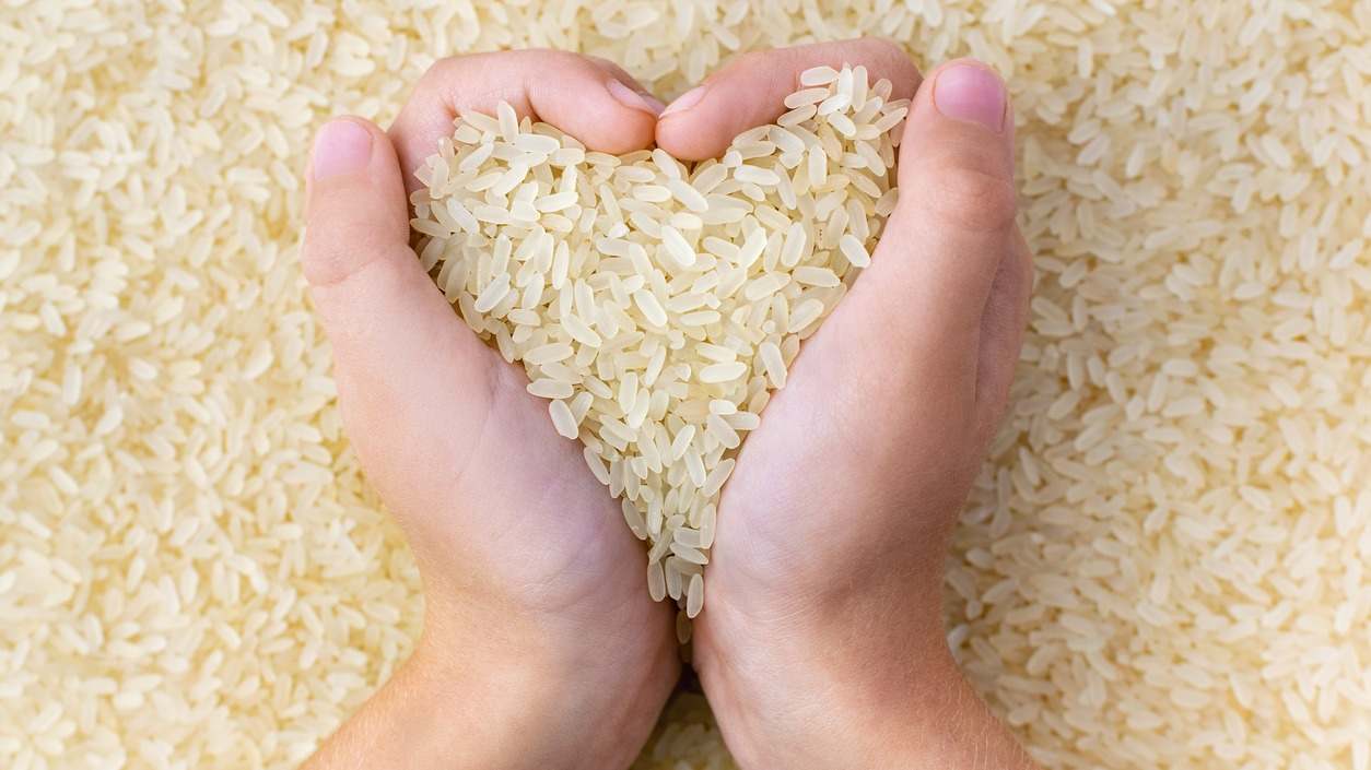 ¿Es bueno comer arroz todos los días? ¿Cuáles son sus beneficios? Descubre qué pasa si comes arroz a diario y cuál es la ingesta recomendada