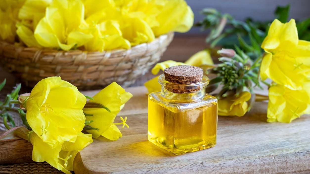 Aceite de onagra, ¿Es realmente bueno para tu salud?. Descubre en este artículo sus beneficios y contraindicaciones.