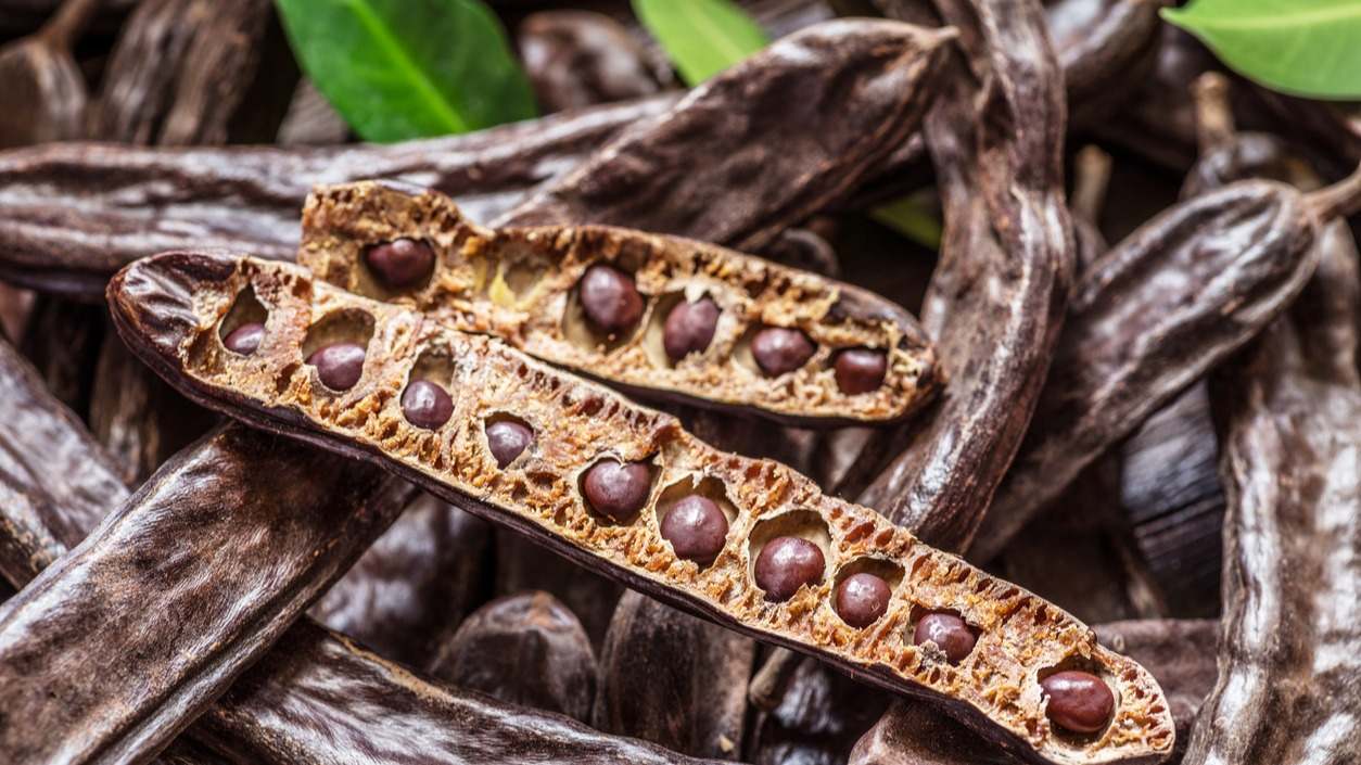 ¿Conoces ya el sustituto natural y sano del chocolate? En este artículo te explicamos los beneficios de las algarrobas.
