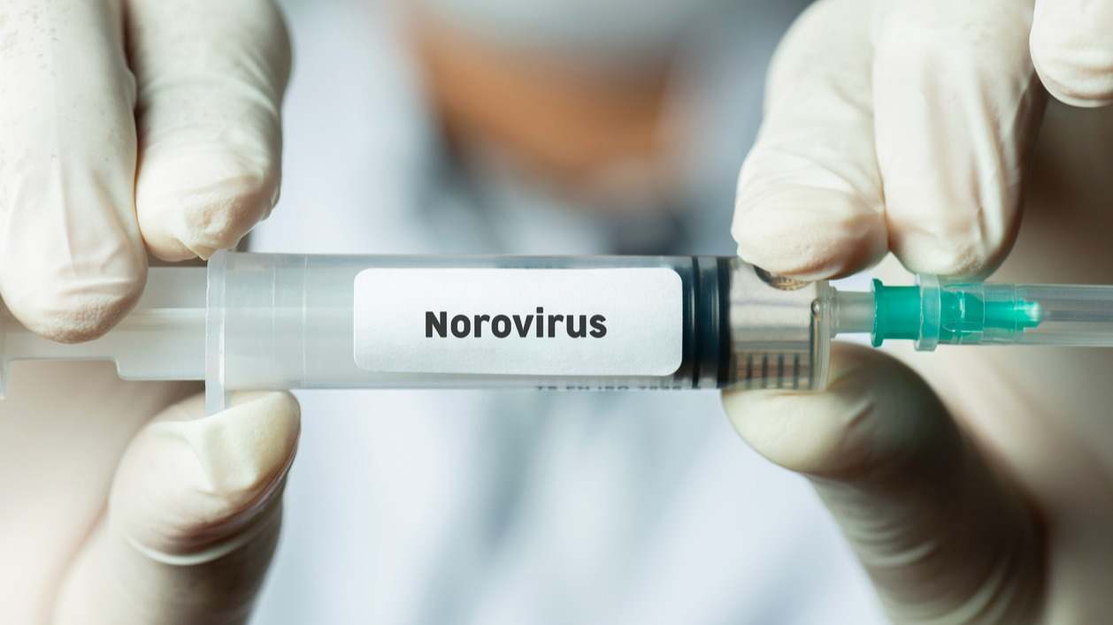 La infección por norovirus causa gastroenteritis aguda y las personas pueden sufrirla varias veces a lo largo de su vida.