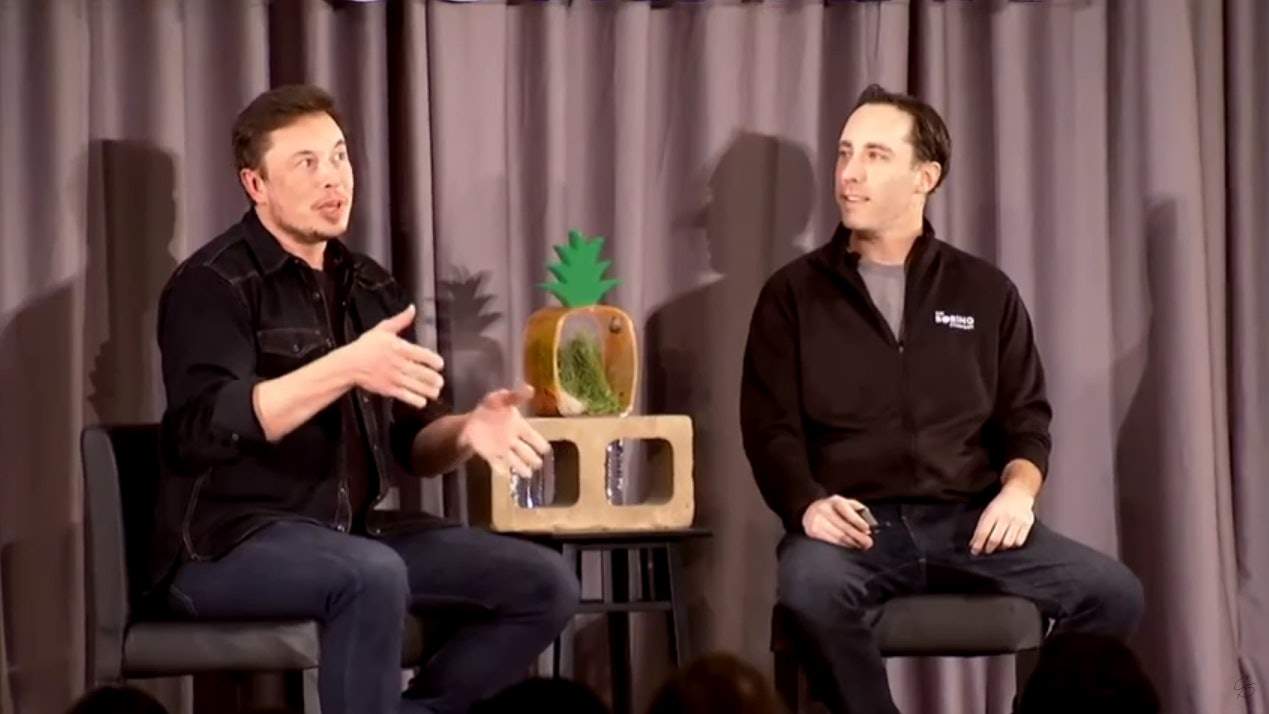 davis_musk.jpeg