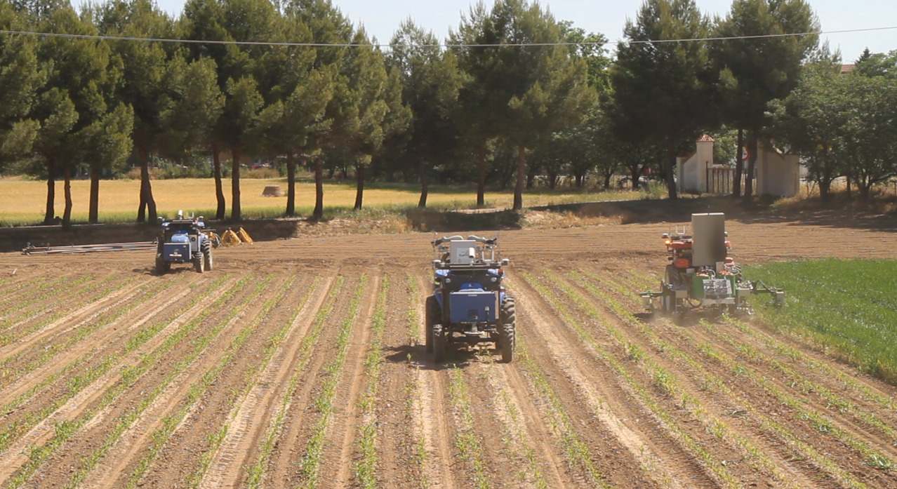 Labores agrícolas