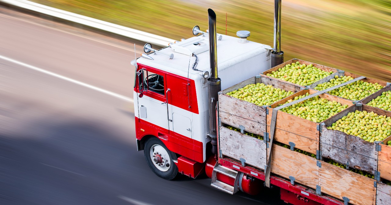 Exportaciones-agroalimentarias.jpg