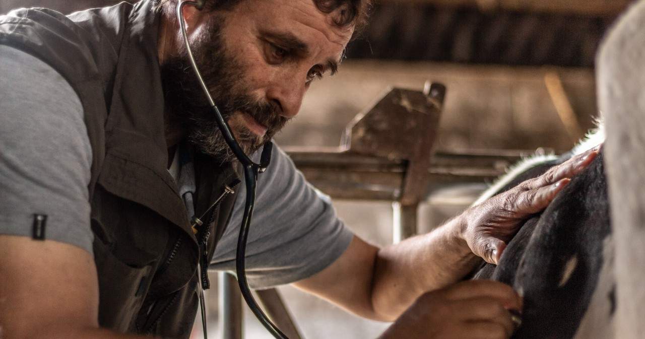 Veterinario-de-rumiantes-foto-Jose-Luis-Miguez.jpg