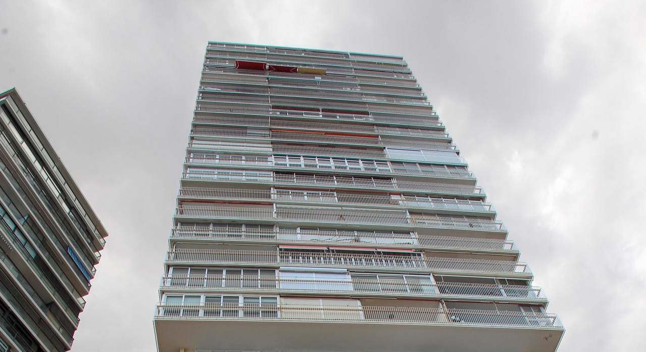 Edificio de la mujer que lanza a sus perros