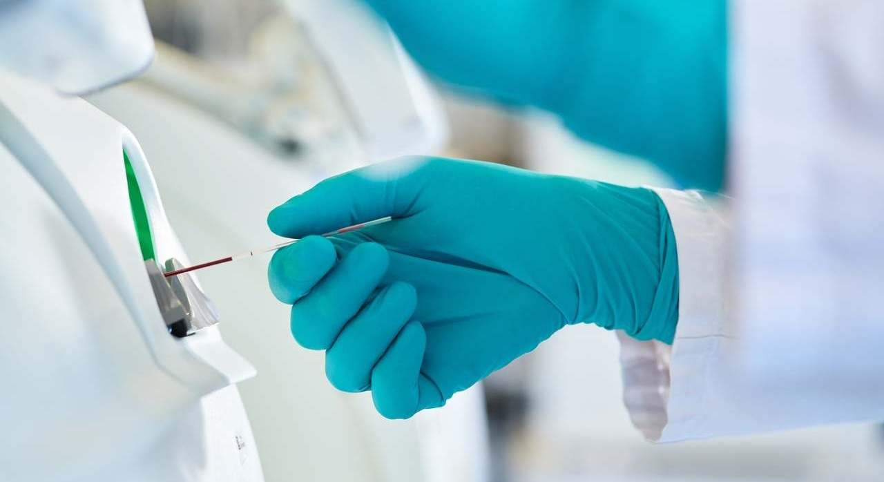 InvestigacionRoche