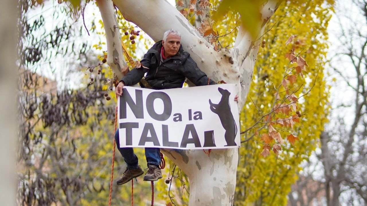 Vecinos de Arganzuela junto con Rebelión o Extinción se han movilizado tras el inicio de las talas en el parque de Arganzuela por las obras de ampliación del metro