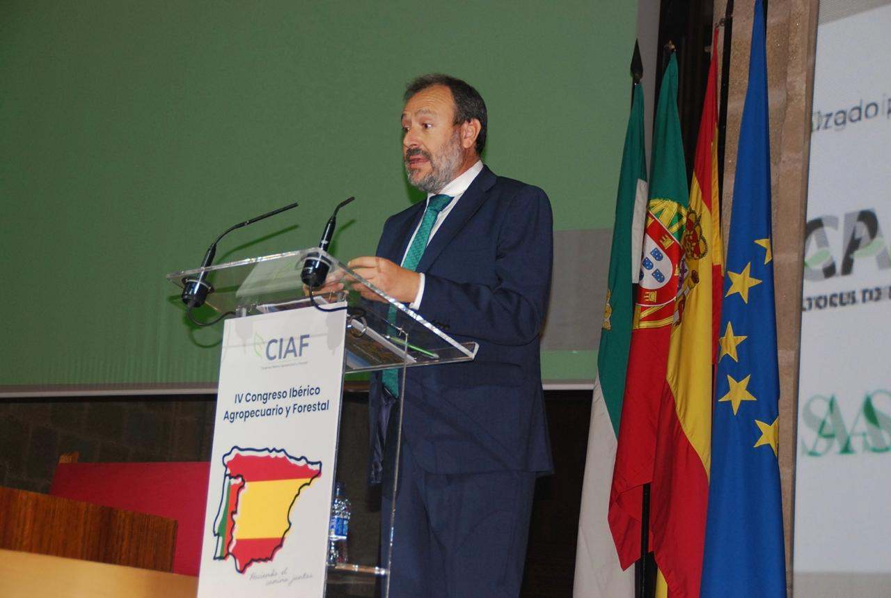 Agustín Delgado, presidente CEX