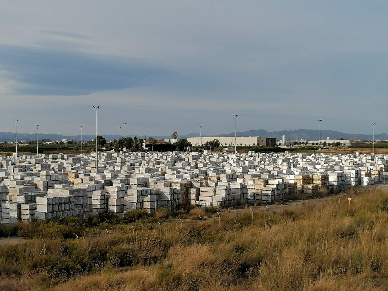 campa-azulejos.jpg