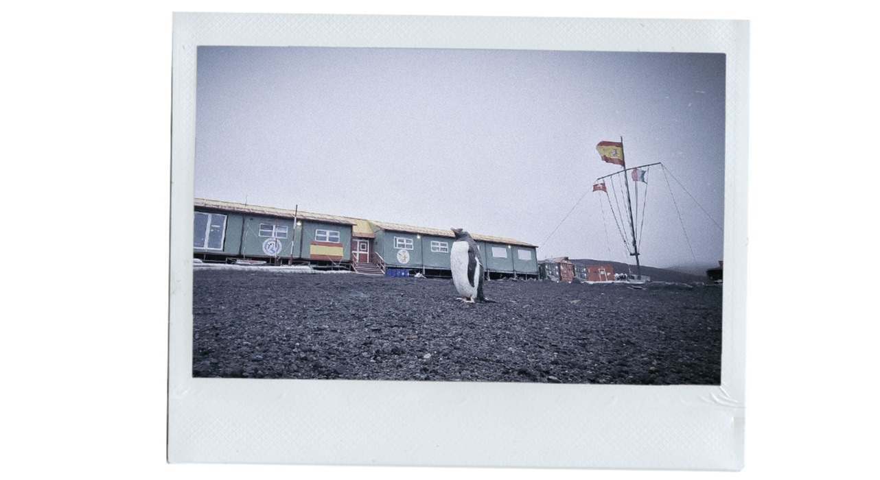 Polaroid_Antartida_5.jpg