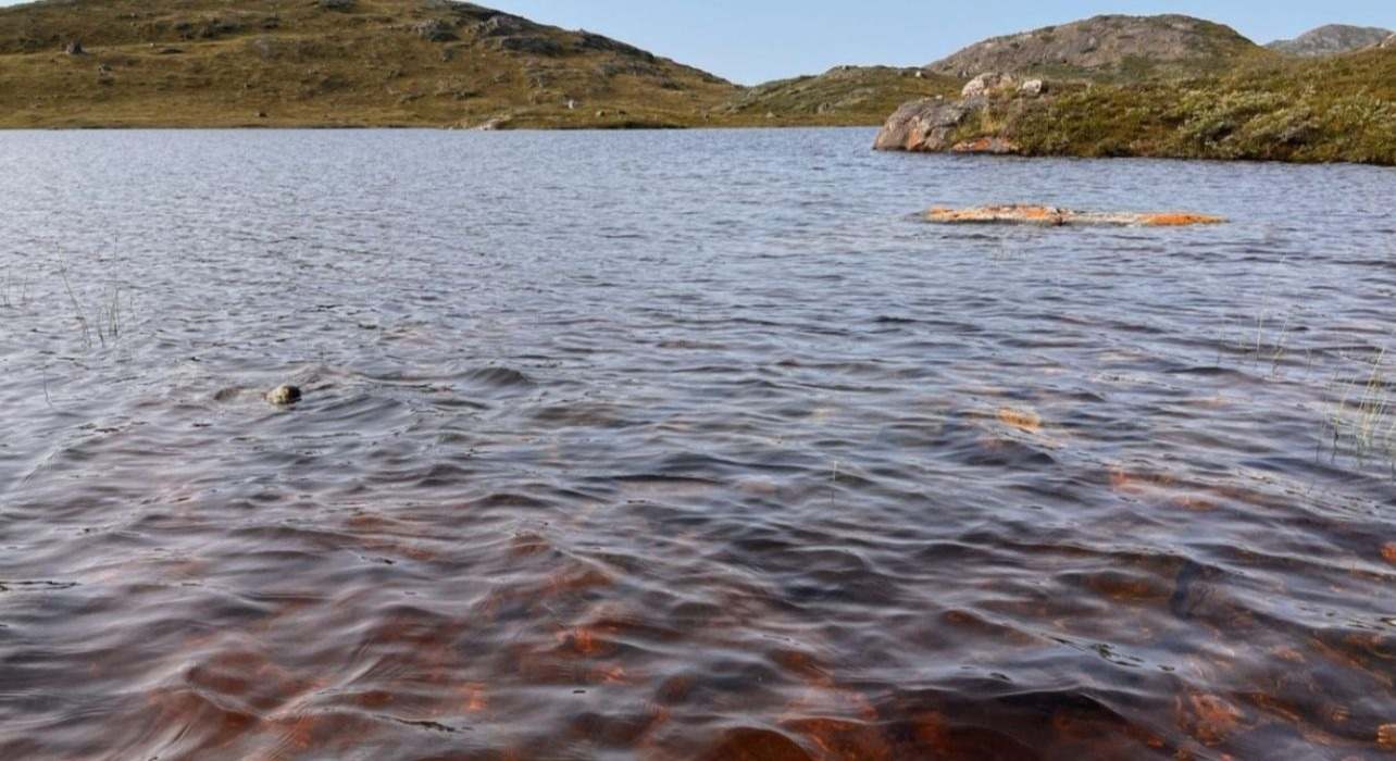 Los investigadores toman muestras de un lago cerca de Kangerlussuaq, Groenlandia, que se volvió marrón después de los eventos extremos.