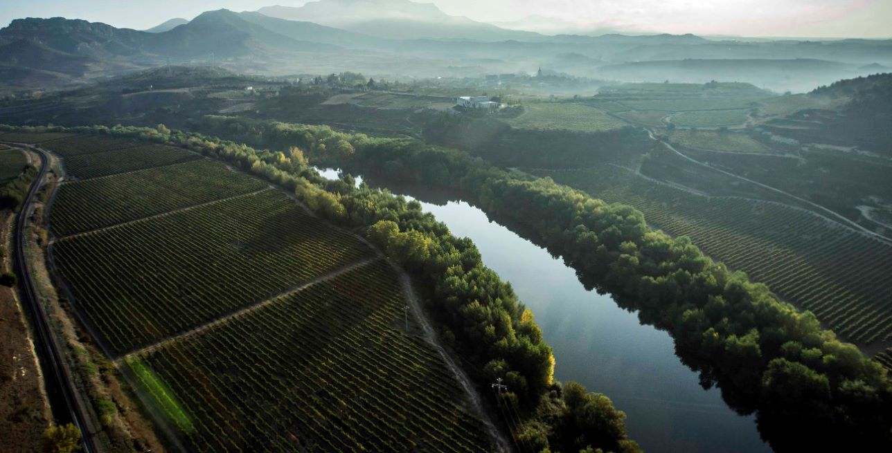 RiojaHaroBrinas.jpg