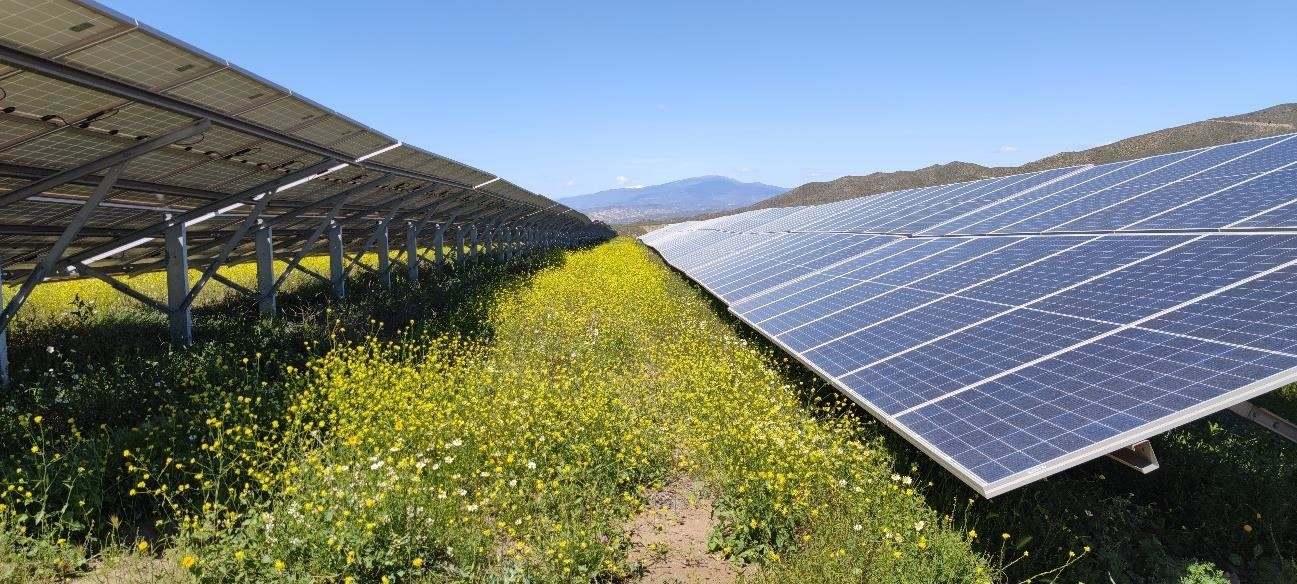 Unas plantas fotovoltaicas. EUROPA PRESS