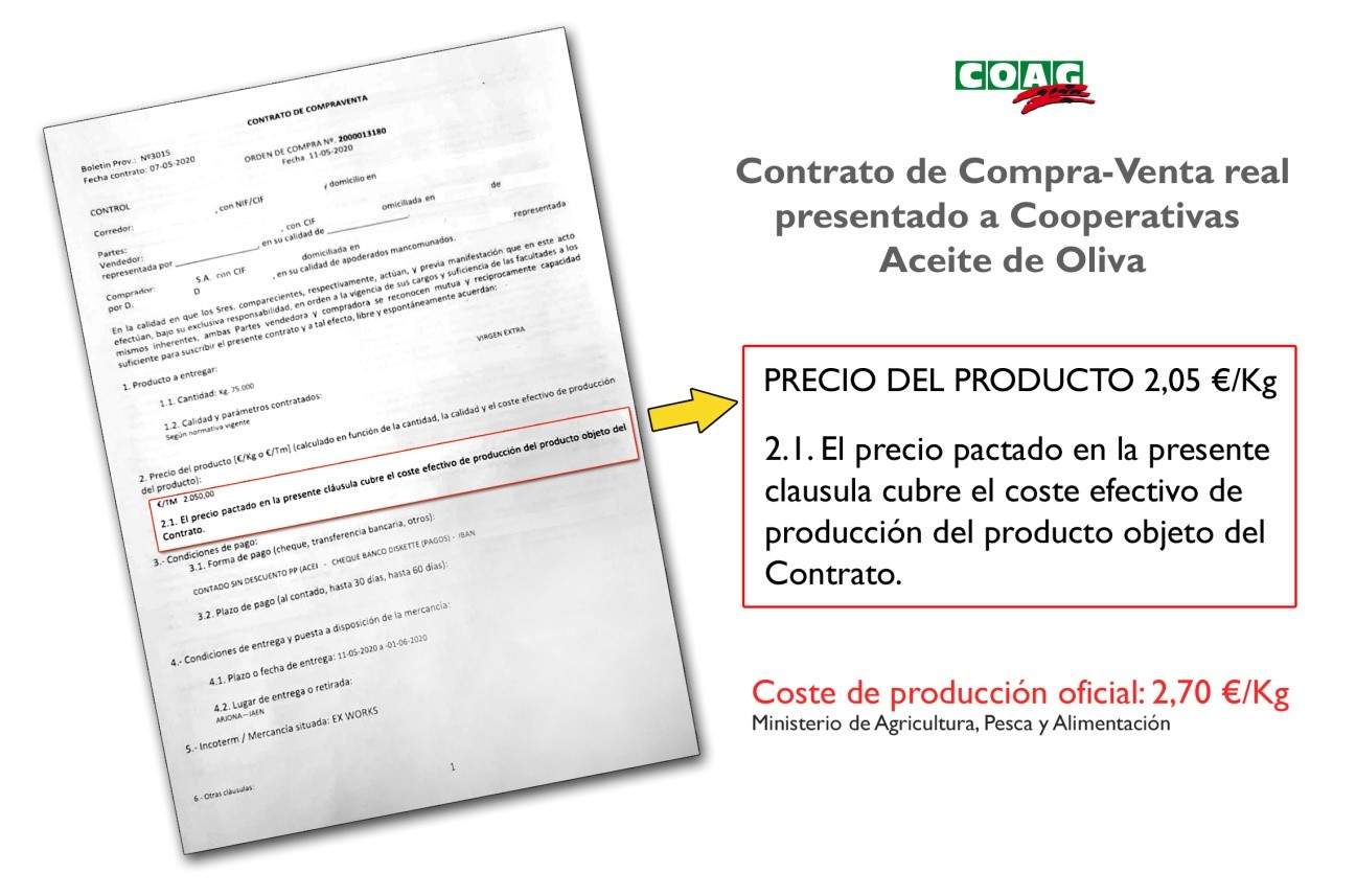 contrato.jpg