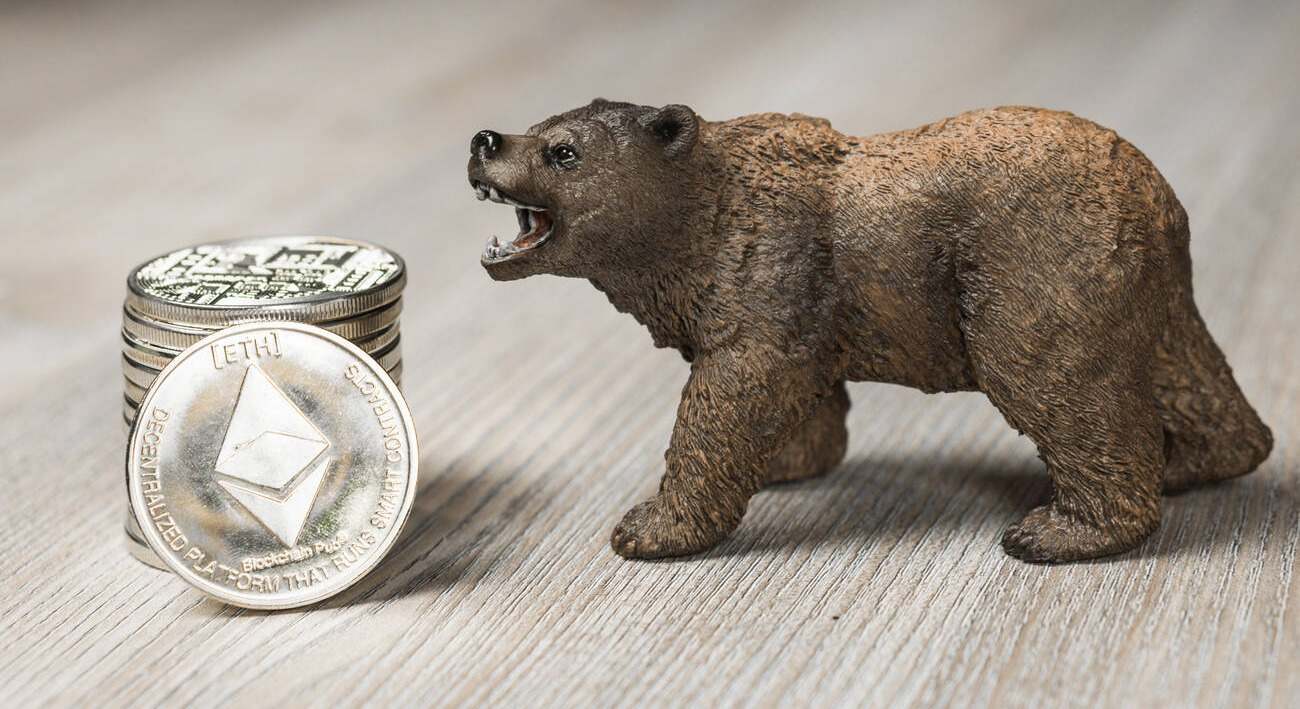 Un oso y una torre de monedas