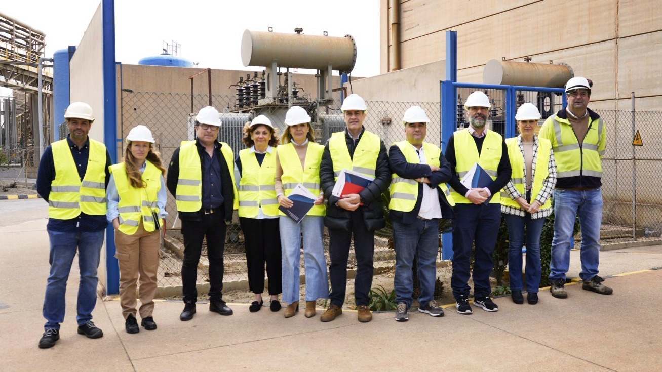 planta cogeneración Villaricos