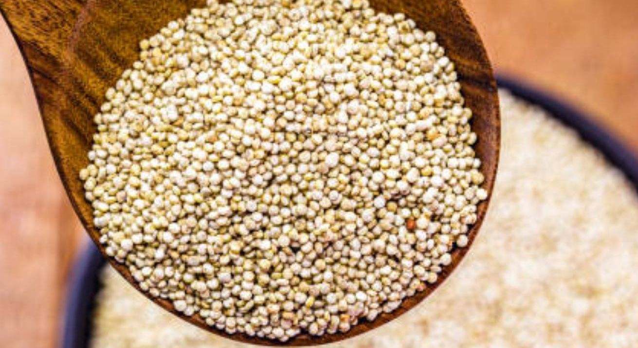 La quinoa es alta en fibras y proteínas, y posee un nivel glucémico bajo