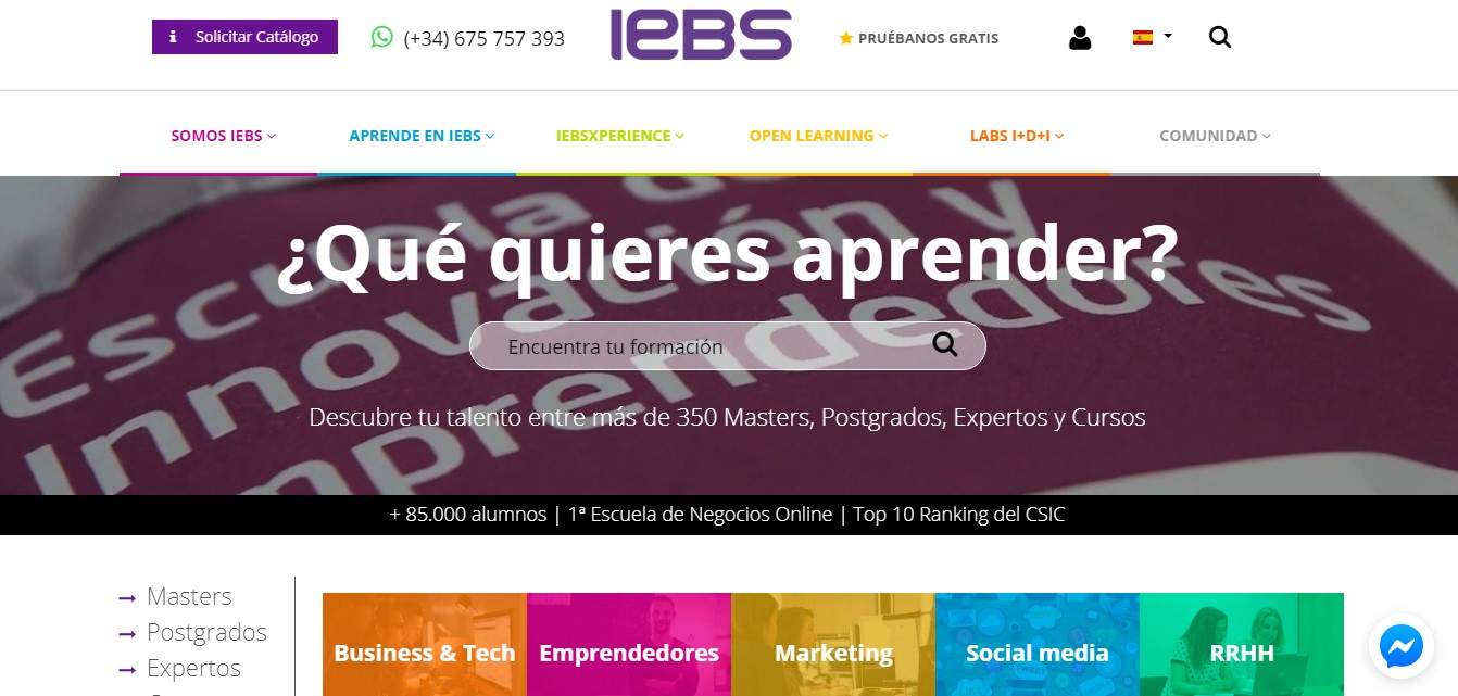 IEBS.jpg