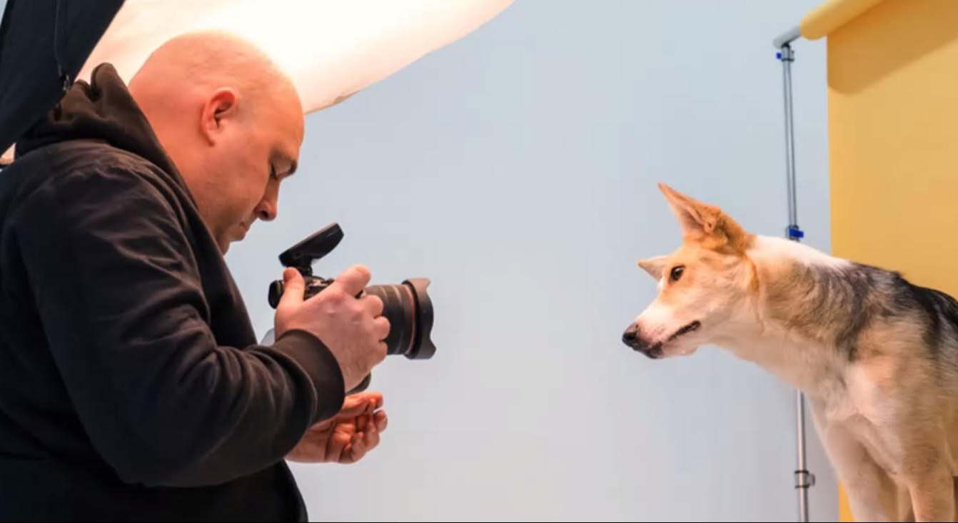 fotografodeperros.jpg