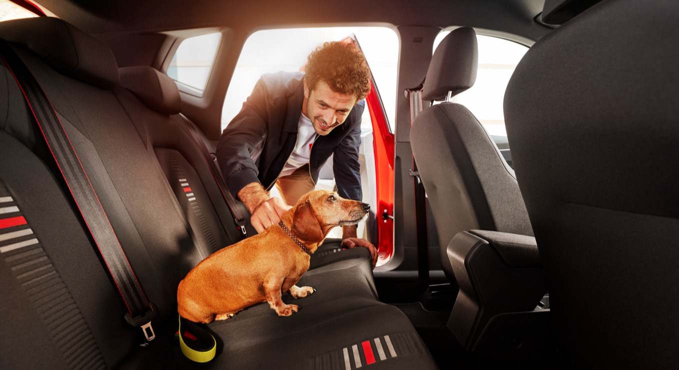 Tapicería coche para mascotas