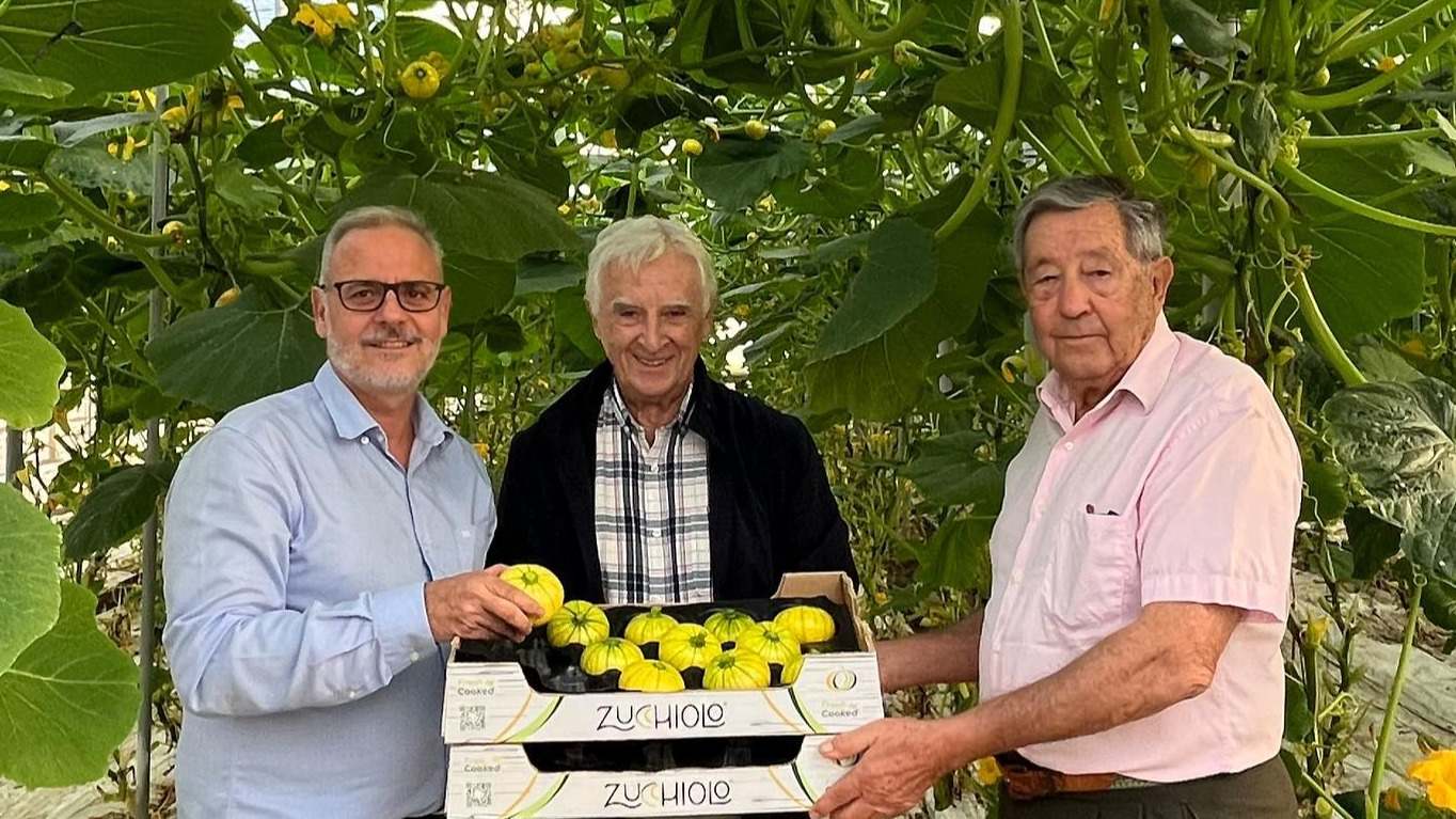 agricultores zucchiolo