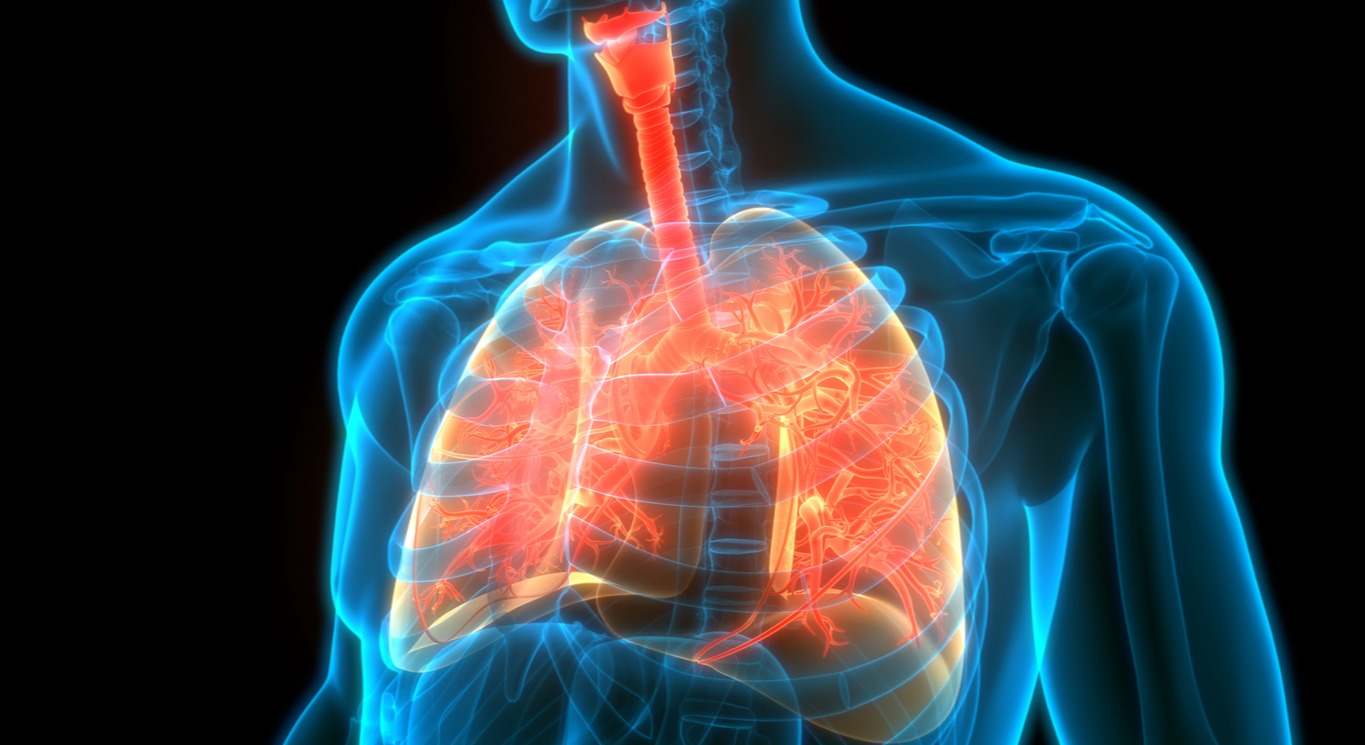 Conoce en este artículo los síntomas de la fibrosis quística, cómo identificarla y sus tratamientos.