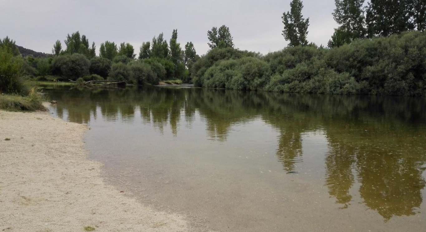 La playa más cercana de madrid con mucha vegetación