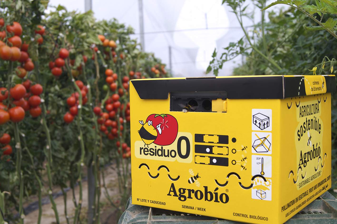 Agrobio-Colmena-abejorros-en-cultivo-tomate.jpg