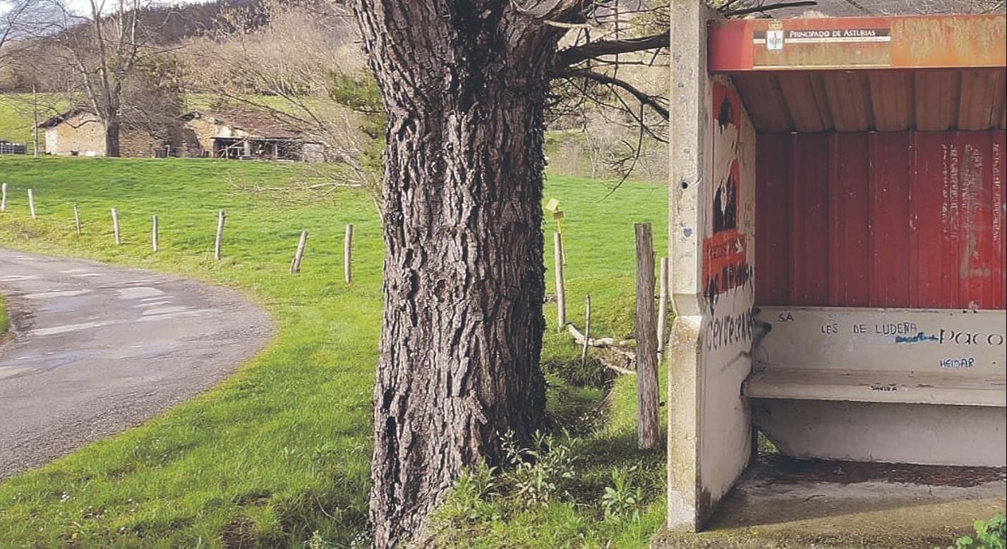 Parada en una zona rural de España. e. press