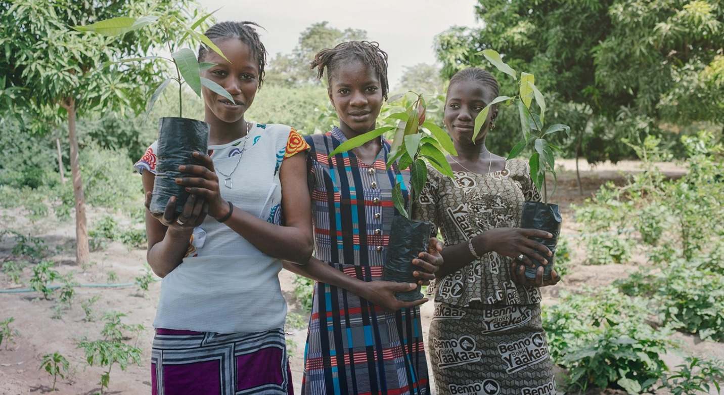recurso-ecosia