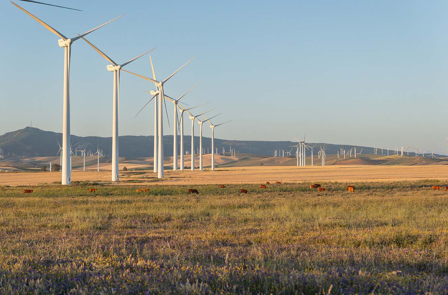 Parque fotovoltaico de Acciona