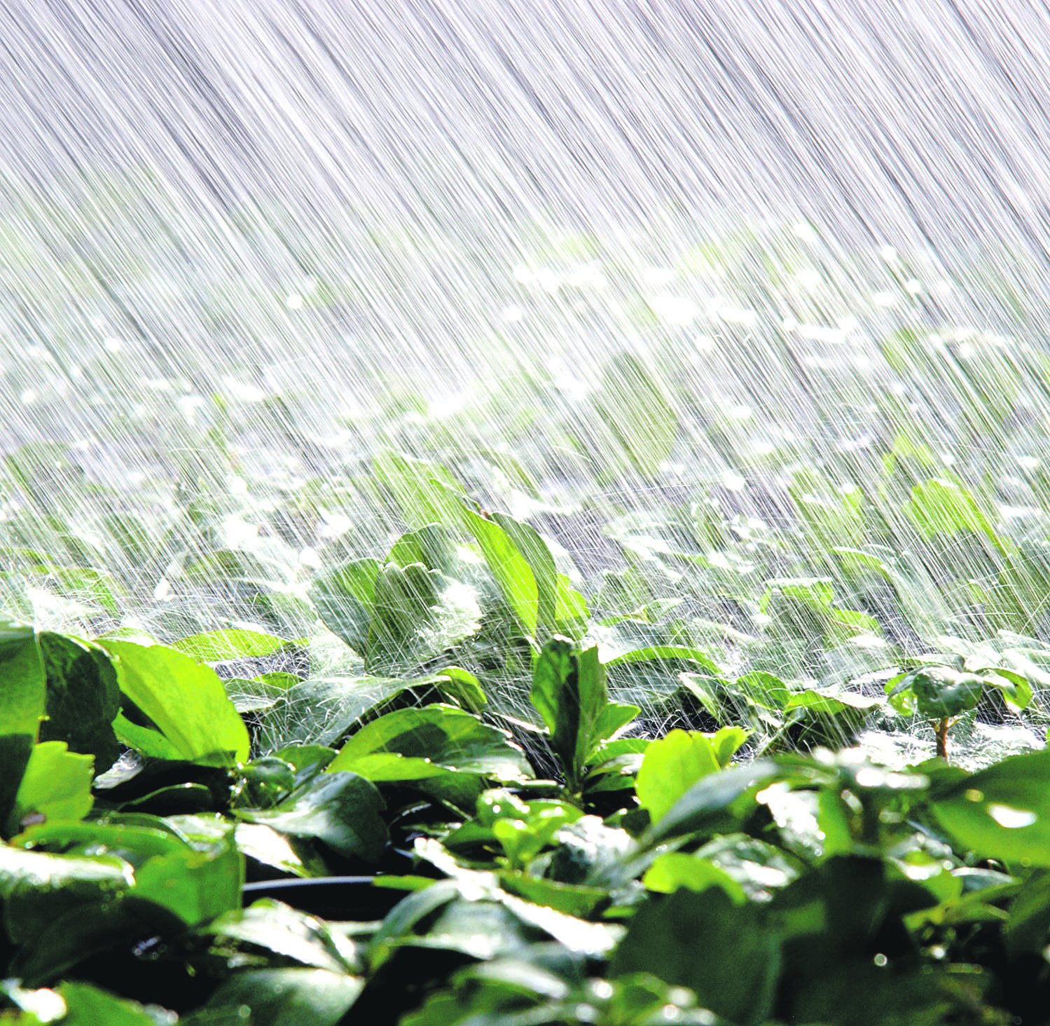Imagen de agua
