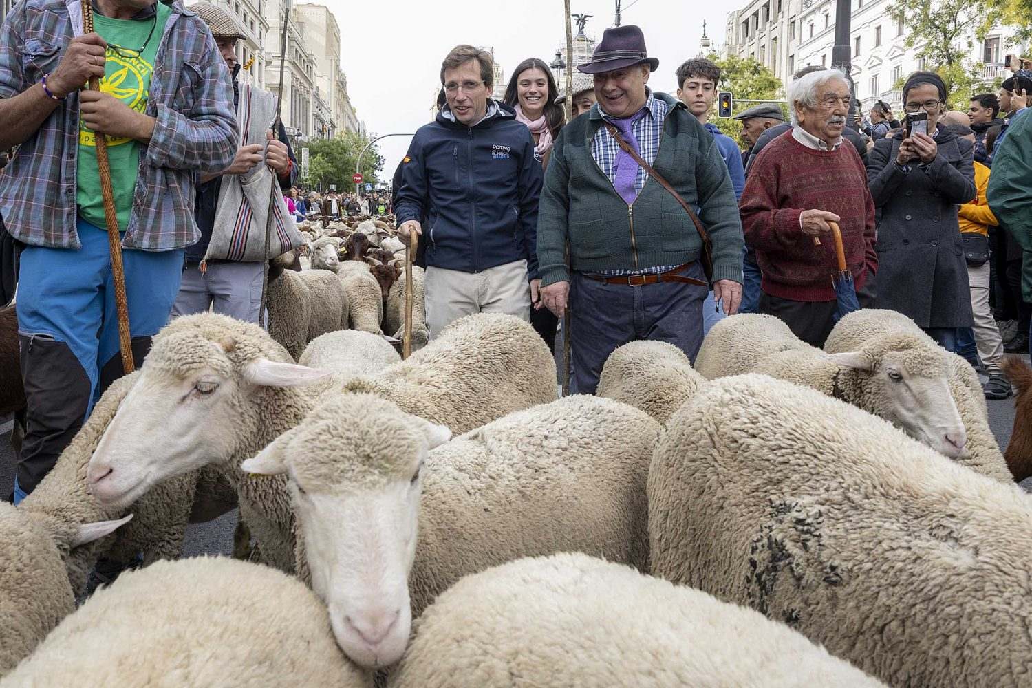 Fiesta de la Trashumancia en Madrid