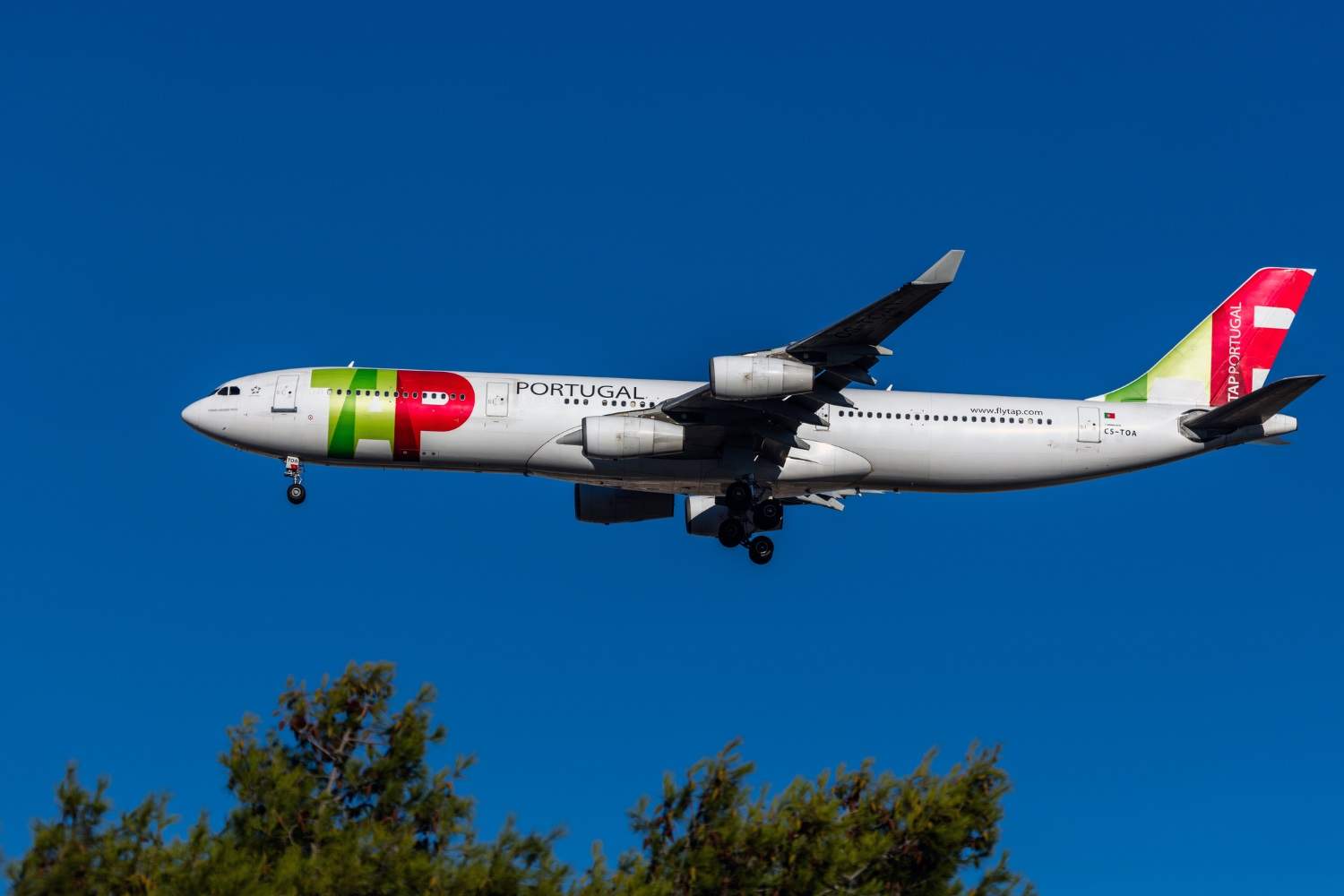 TAP-AIR-PORTUGAL-DREAMS.jpg