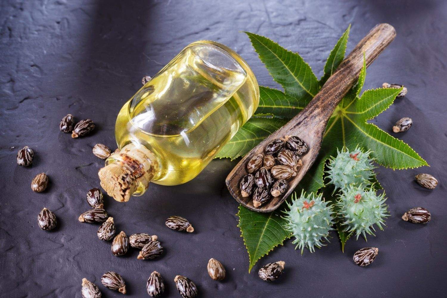 ACEITE-RICINO.jpg