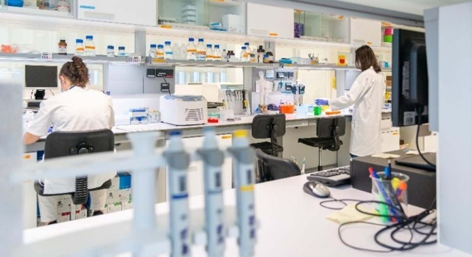 Investigación sanitaria vasca.