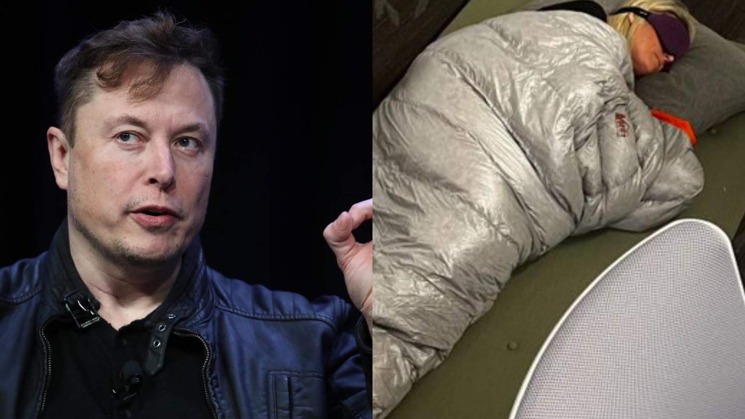 musk.jpg