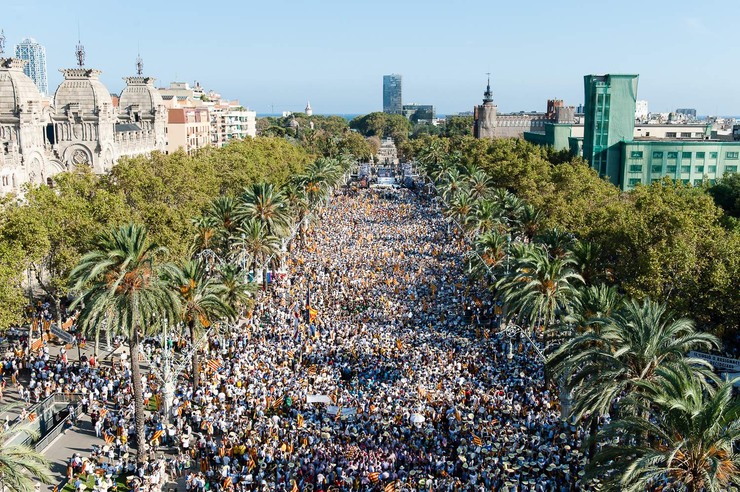 160911_DIADA 11S_MANIF_046.jpg