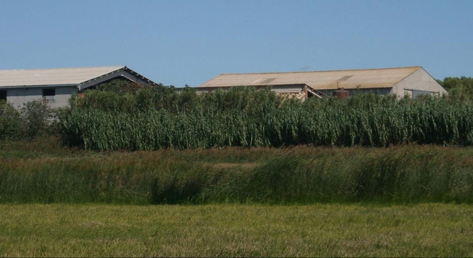 fertilizantes huesca