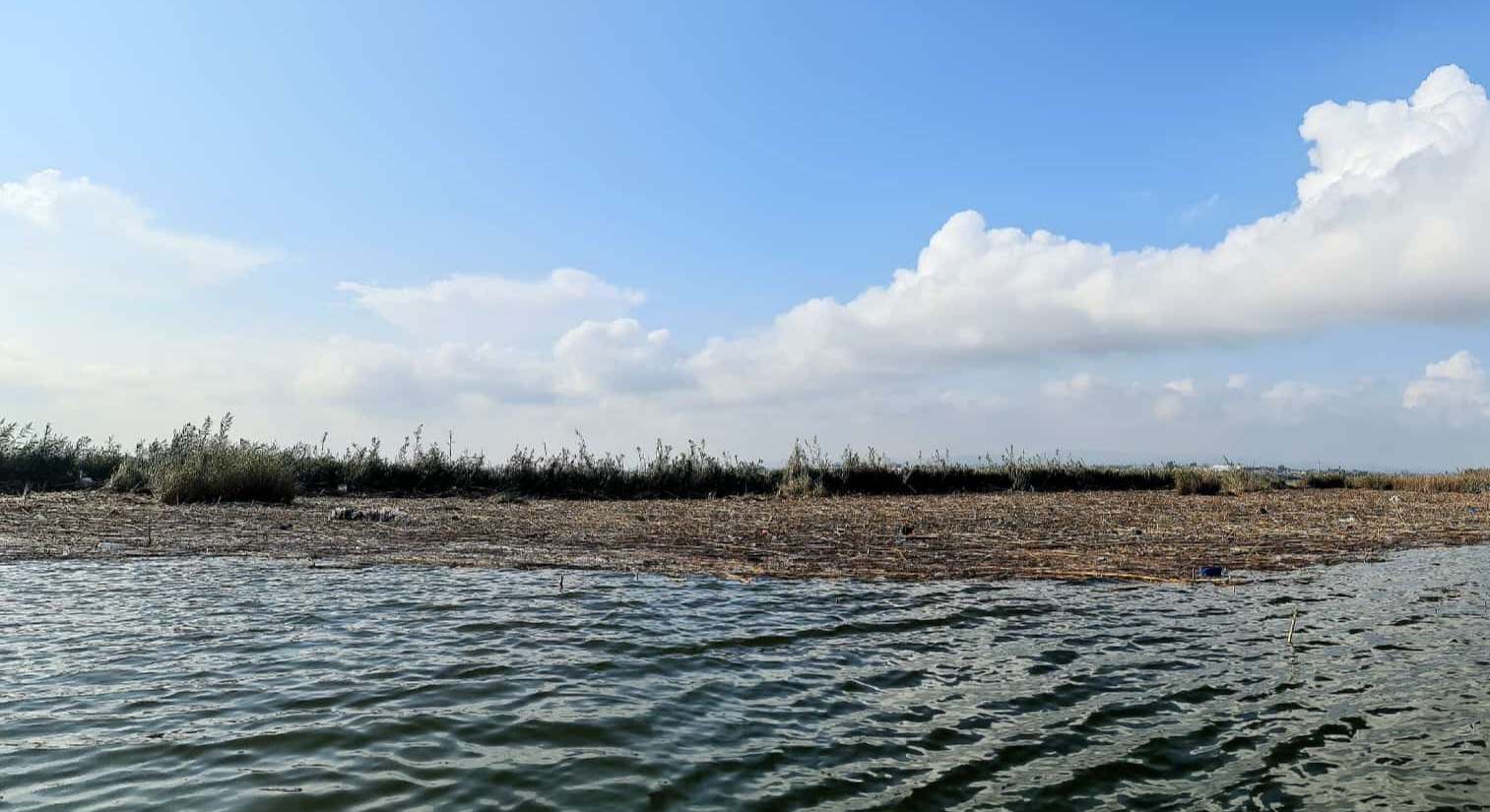 Estado de La Albufera con parte de los restos transportados por el agua.