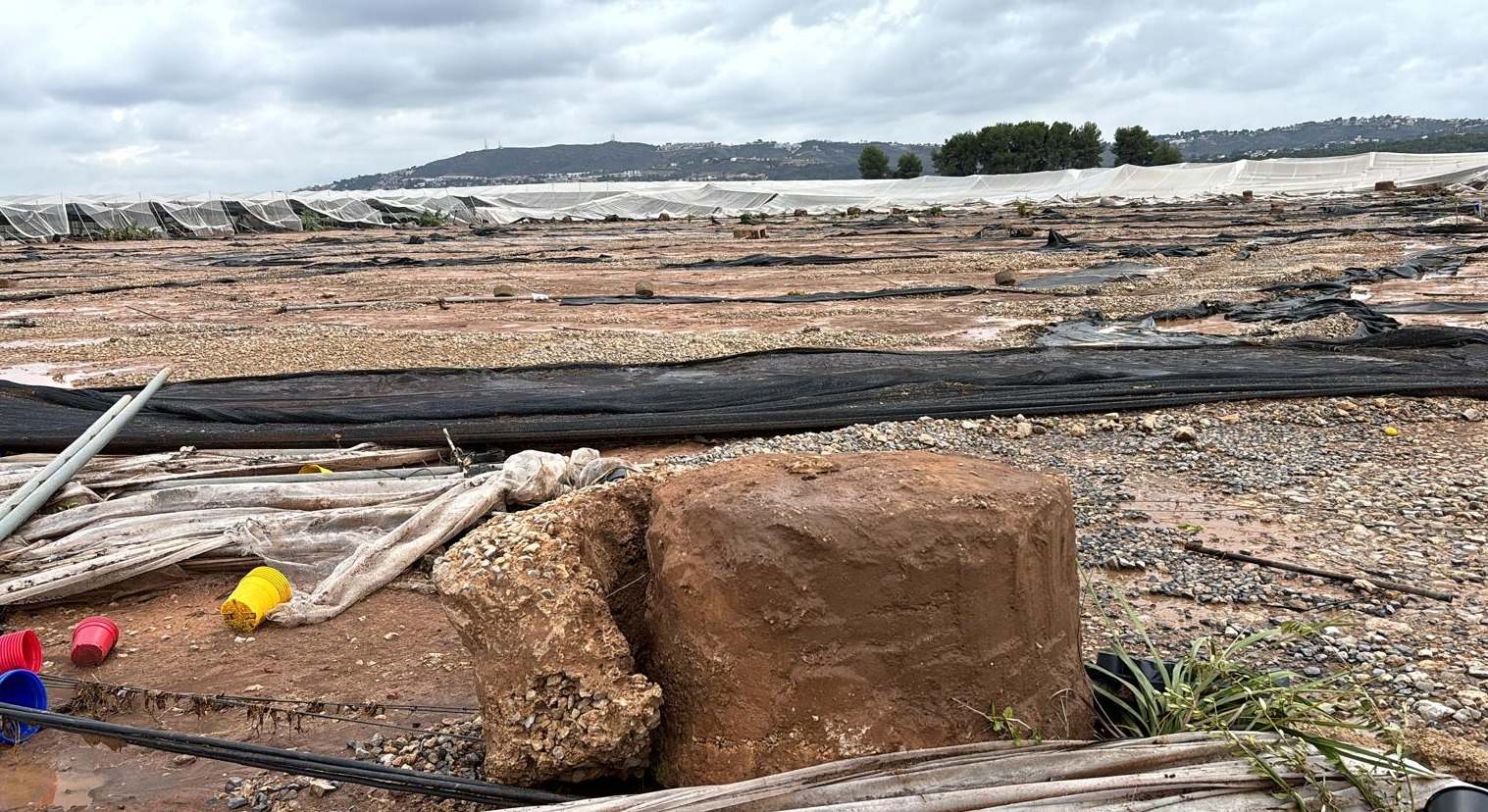 Destrozos en el campo tras la DANA:
