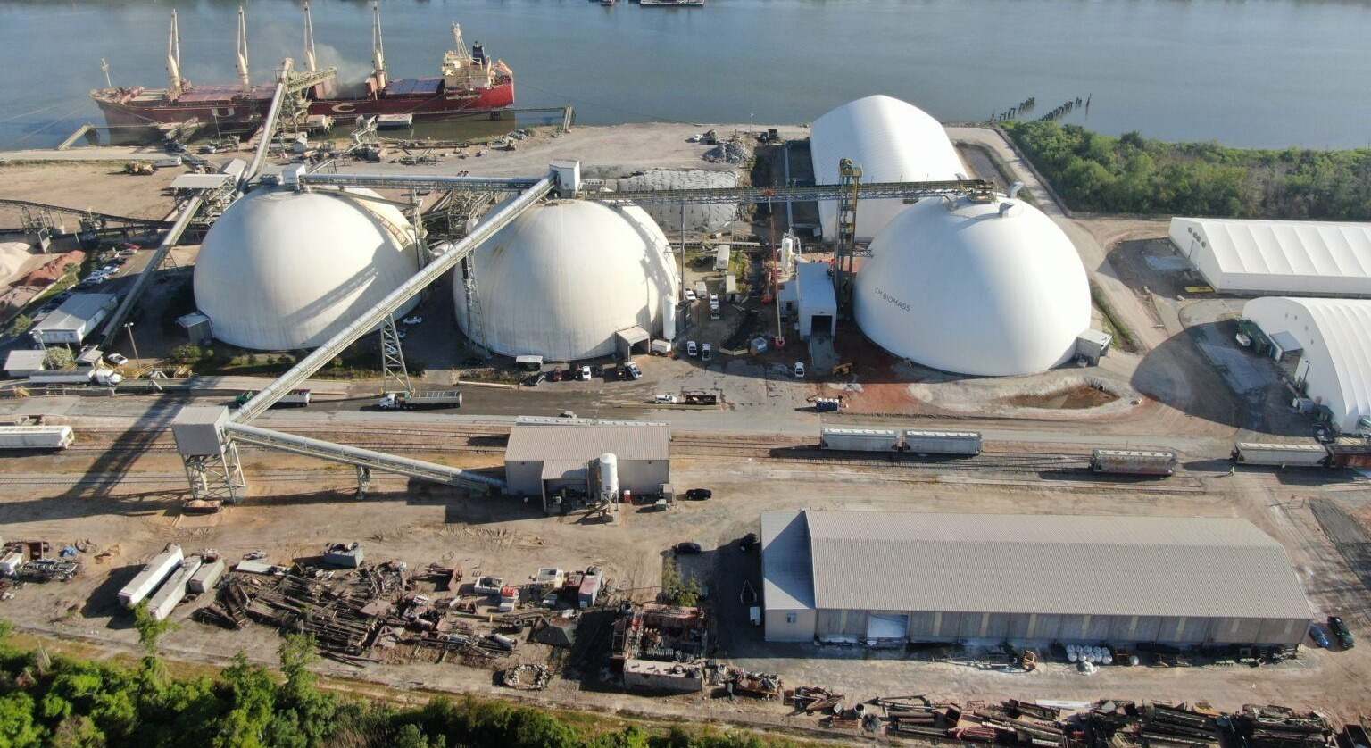bioenergy-biomass.jpg