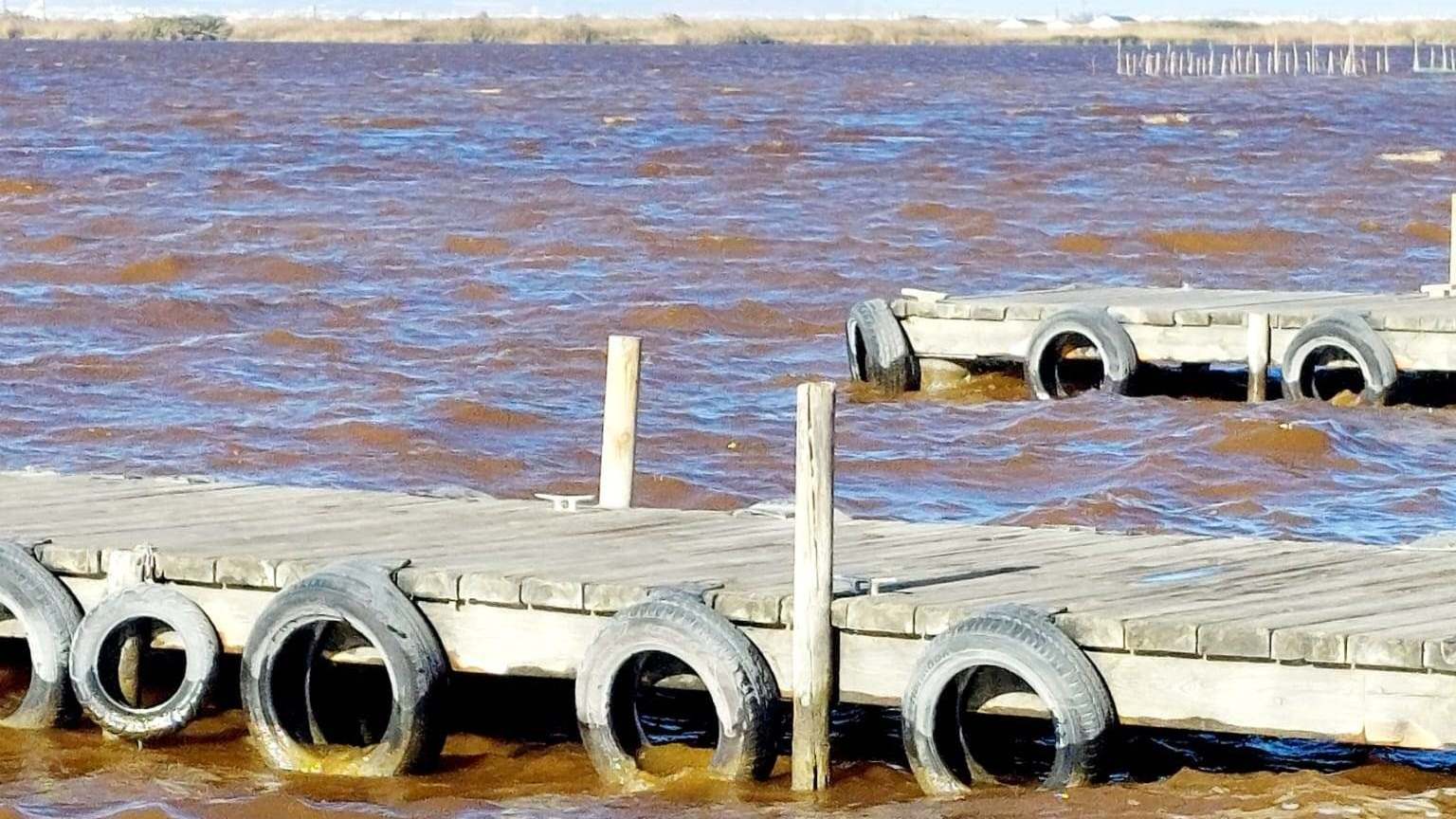 pleno_municipal_defensa_albufera.jpg