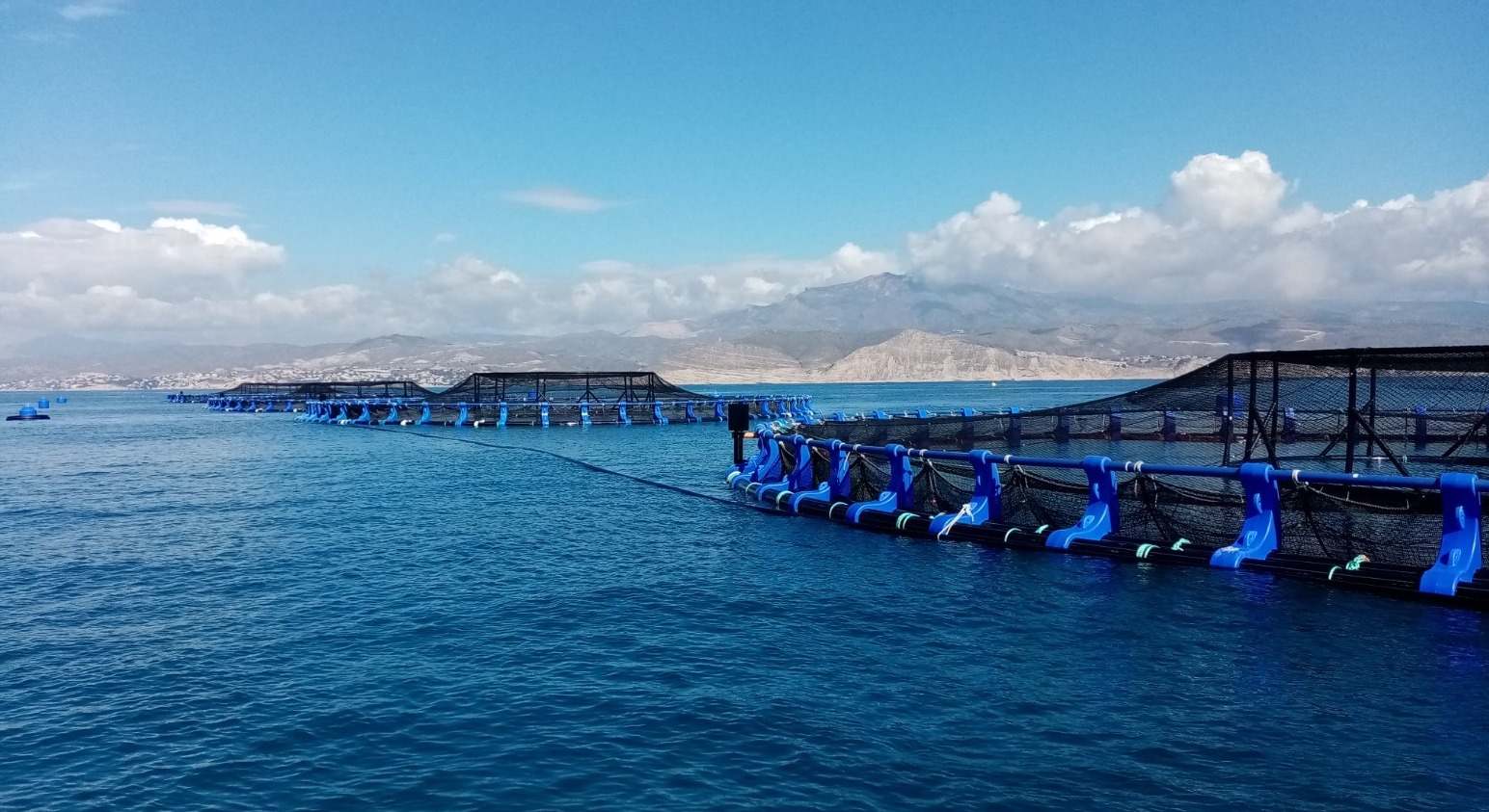 Granja marina de Avramar en El Campello (Alicante).