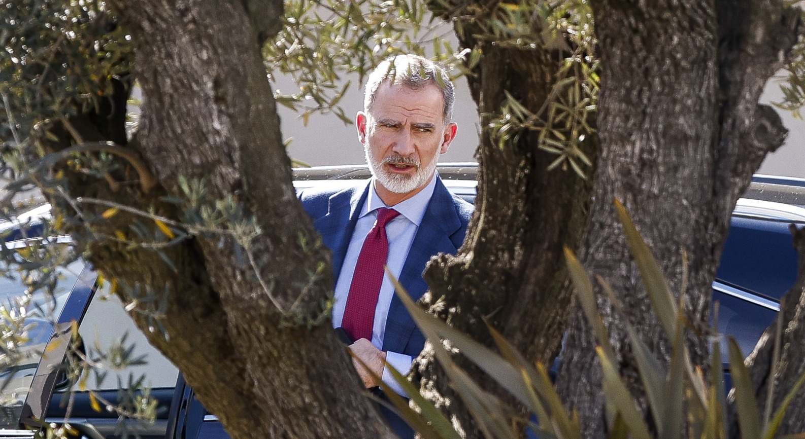 Rey Felipe VI